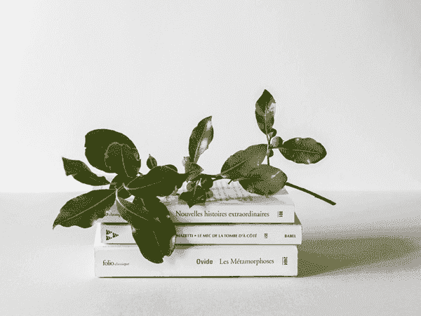 服务器攻击方式