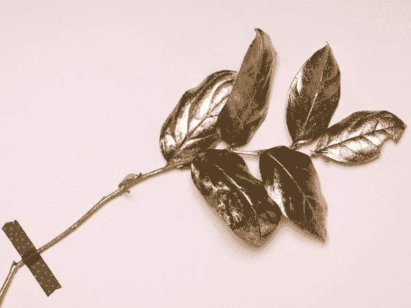 ddos压力测试网页端